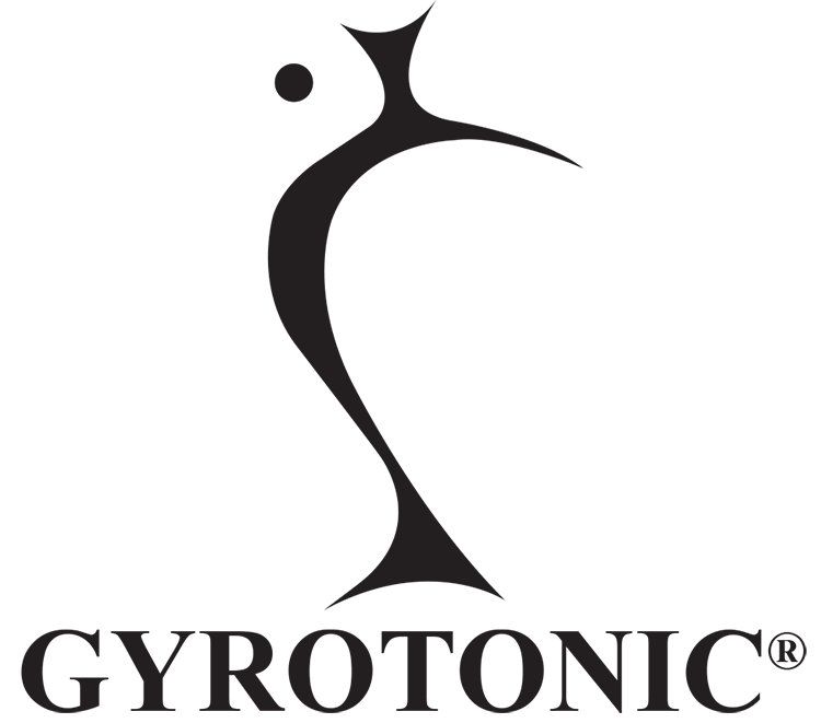 2017 Logo-PNG-Transparent-Backround